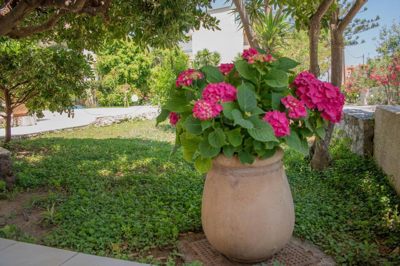 Agia Marina Evdokia Αpartments & Dimitra Village المظهر الخارجي الصورة